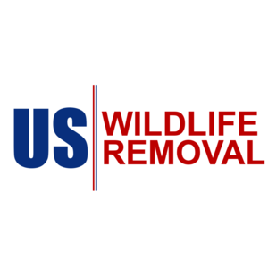 US Wildlife Removal - Spanaway, WA, USA