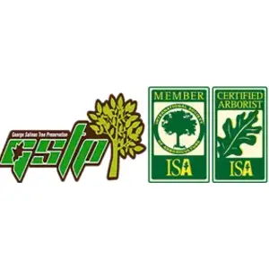Lincoln Tree Service Experts - Lincoln, CA, USA