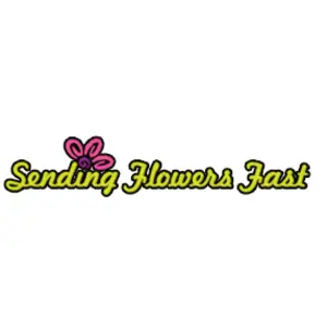 Sending Flowers Fast - Alexandria, VA, USA
