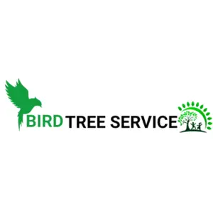 Bird Tree Service - Royal Oak, MI, USA