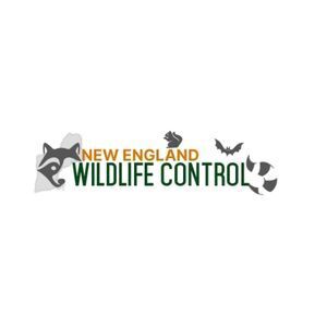 New England Wildlife Control - Salem, NH, USA