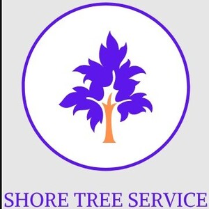 Shore Tree Service - Quincy, MA, USA
