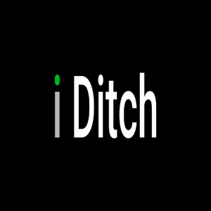 The iDitch Technologies Incorporated. - NEW YORK, NY, USA