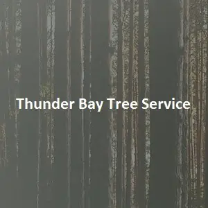 Thunder Bay Tree Service - Thunder Bay, ON, Canada