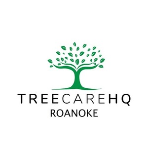 TreeCareHQ Roanoke - Roanoke, VA, USA