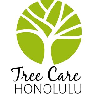 Tree Care Honolulu - Honolulu, HI, USA