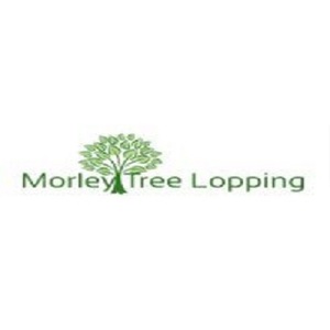 Tree Lopper Morley - Morley, WA, Australia