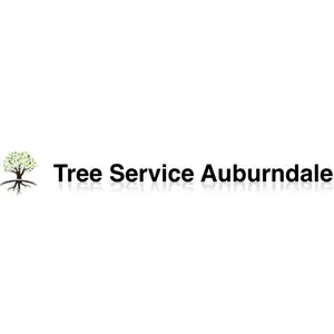 Tree Service Auburndale - Auburndale, FL, USA