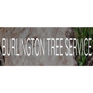 Burlington Tree Service - Burlington, ON, Canada