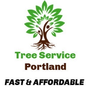 Tree Service Portland - Portland, OR, USA