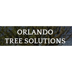 Tree Solutions Dr Philips - Orlando, FL, USA