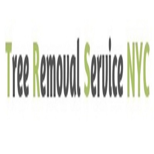 Tree Removal Service Bronx - Bronx, NY, USA