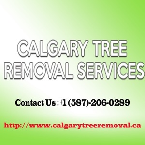 GMK Tree Service - Calgary, AB, Canada