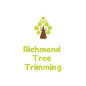 Richmond Tree Service - Richmond, VA, USA