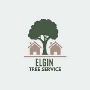 Elgin Tree Service - Elgin, IL, USA