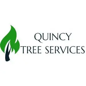 Quincy Tree Services - Quincy, MA, USA