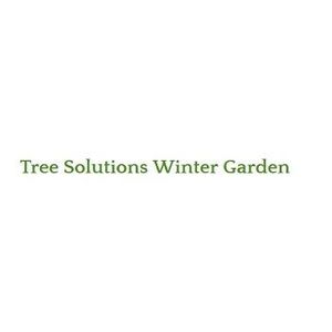 Tree Solutions Winter Garden