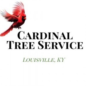 Cardinal Tree Service Louisville - Louisville, KY, USA