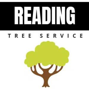 Reading Tree Service - Reading, PA, USA