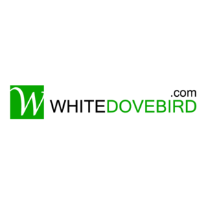 White Dove Bird - Dover, DE, USA