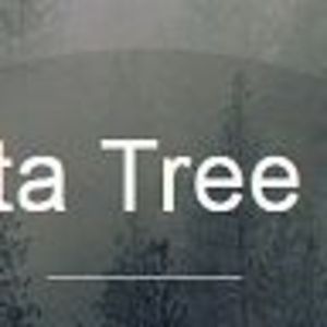 Wichita Tree Care - Wichita, KS, USA