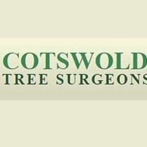 Wiltshire Tree Surgery - Swindon, Wiltshire, United Kingdom