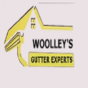 Woolley's Gutter Experts San Diego - Lemon Grove, CA, USA