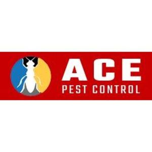 Ace Pest Cockroach Control Melbourne - Melbourne, VIC, Australia