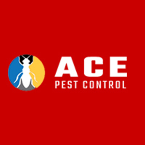 Ace Possum Removal Perth - Perth, WA, Australia