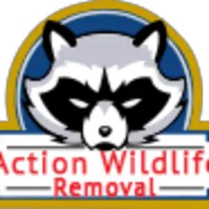 Action Wildlife Removal - Brampton, ON, Canada