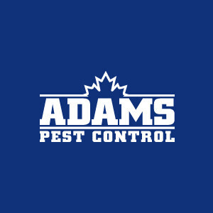 Adams Pest Control Saint John - Saint John, NB, Canada
