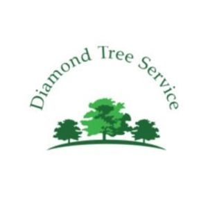 Diamond Tree Service - Redwood Valley, UT, USA