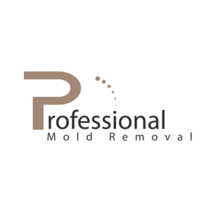 Professional Mold Removal Lakewood - Lakewood, CA, USA