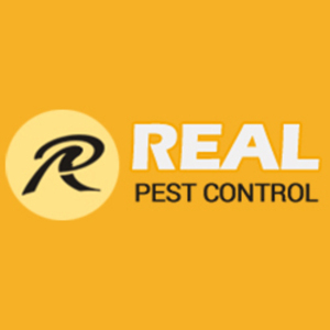 Real Ant Control Adelaide - Adelaide, SA, Australia