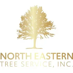 North Eastern Tree Service - Cranston, RI, USA