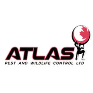 Atlas Pest And Wildlife Control Ltd - Langley, BC, Canada