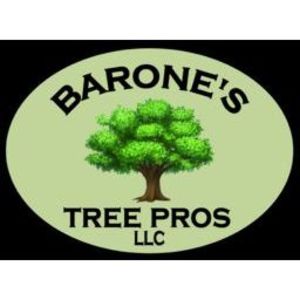 Barone\'s Tree Pros LLC - Brandon, MS, USA