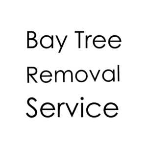 Bay Tree Removal Service - Hayward, CA, USA