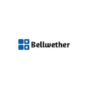 Bellwether Software LLC - Louisville, KY, USA