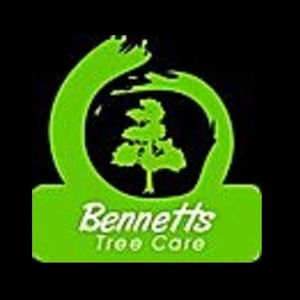 Bennetts Tree Care - Wokingham, Berkshire, United Kingdom