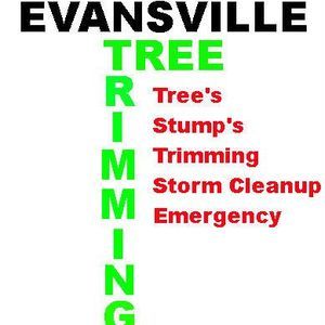 Tree Trimming Evansville - EVANSVILLE, IN, USA