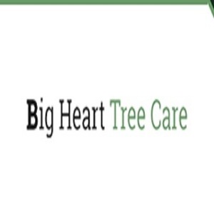 Big Heart Tree Care - Reading, Berkshire, United Kingdom