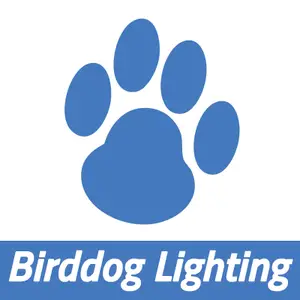 Birddog Lighting - Bozeman, MT, USA