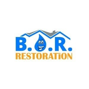 Best Option Restoration (B.O.R.) of Travis County - Austin, TX, USA