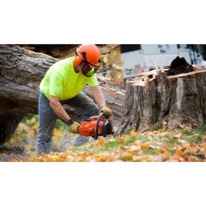 Rose District Tree Removal Services - Broken Arrow, OK, USA