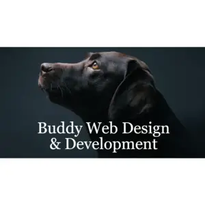 Buddy Web Design & Development - Grandville, MI, USA