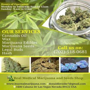 Real Medical Marijuana and Seeds Shop |  wax - Las Vegas, NV, USA