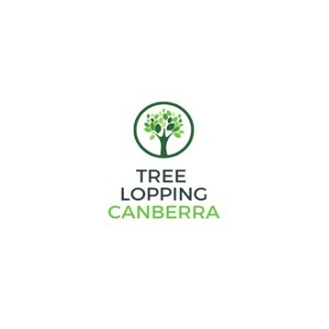 Canberra Tree Lopping and Tree Removal - Fyshwick, ACT, Australia