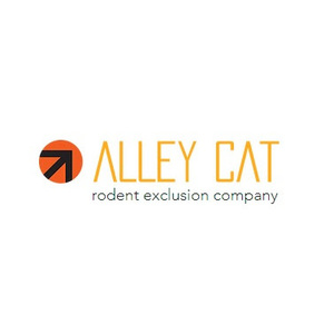 Alley Cat - Oakland, CA, USA