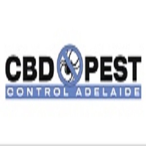 CBD Ant Control Adelaide - Adelaide, SA, Australia